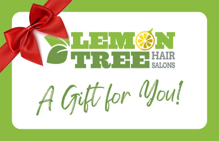 Lemon Tree Center Moriches Holiday Gifts