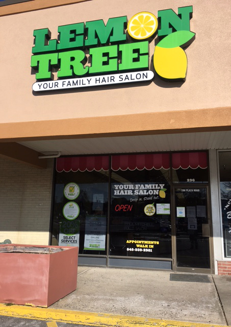 Is franchising a good investment? With Lemon Tree, yes!