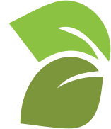 Logo for Lemon Tree, a hair salon industry.