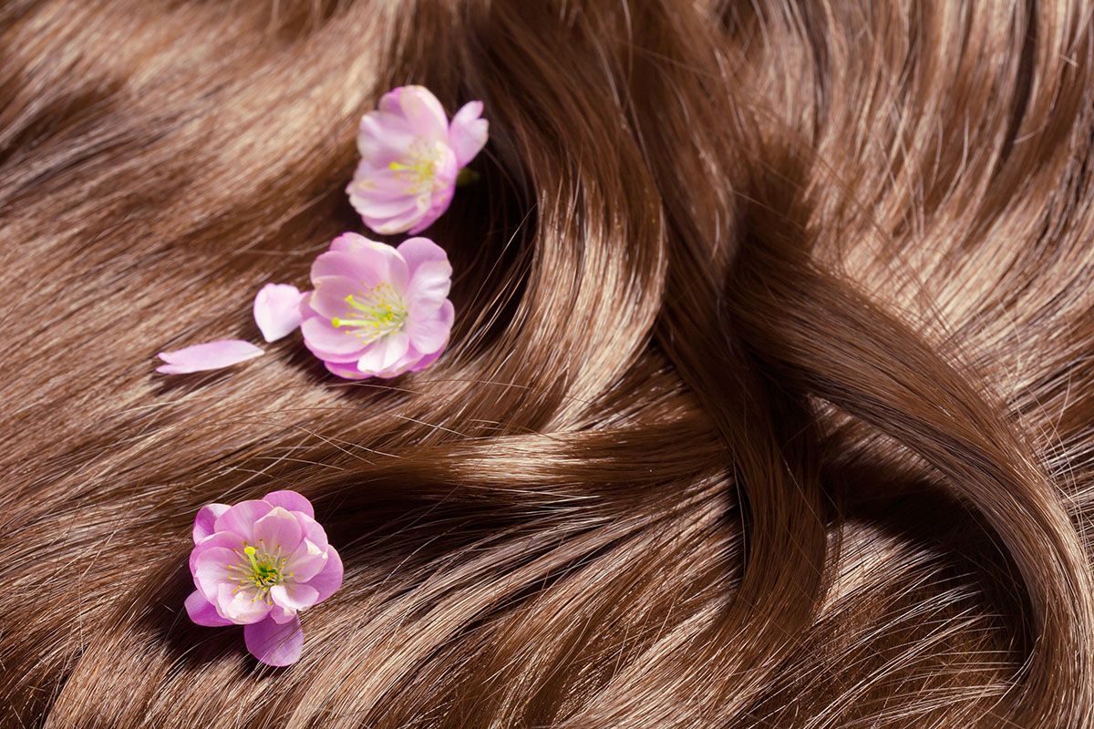 Learn why your hair can become dry - and how to fix it with services from Lemon Tree Hair Salons.
